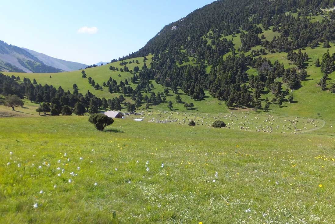 Sur les pas des Huguenots : Die - Le Percy - France